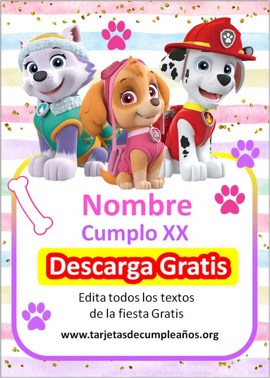 invitaciones de paw patrol de niña skye y everest